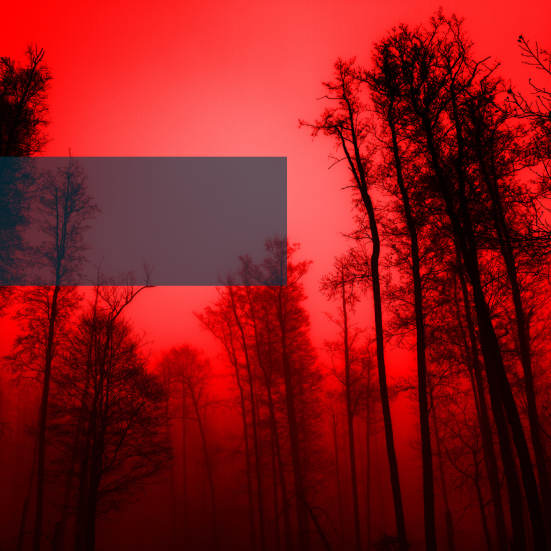 Uhyggelig mørk skov