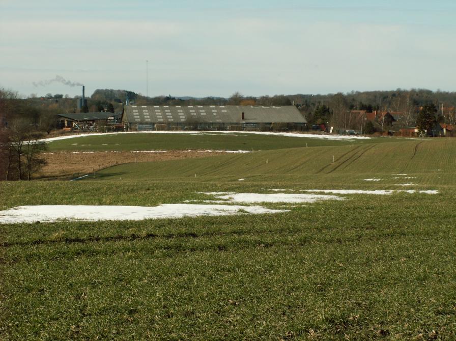 Før byggeriet Trebiens Allé (fra Erik Jørgensens billedsamling)
