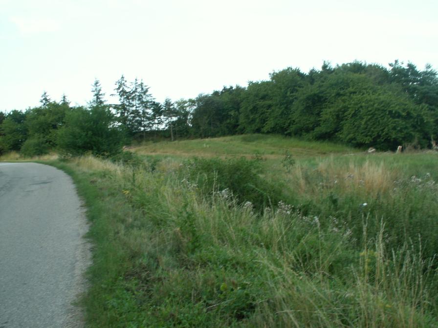 Bentsensvej før byggeri (fra Erik Jørgensens billedsamling)